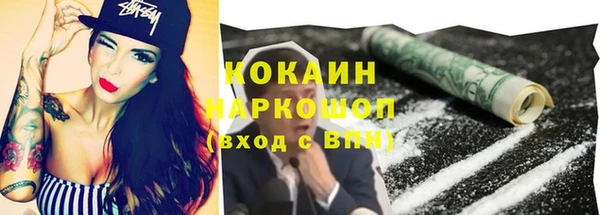 PSILOCYBIN Каменка