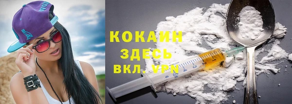 PSILOCYBIN Каменка