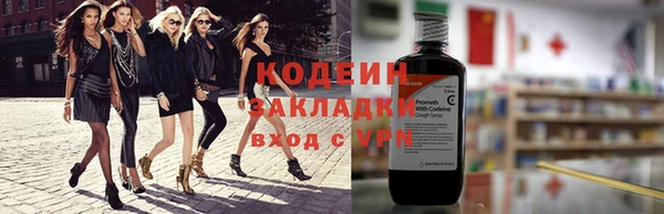 PSILOCYBIN Каменка