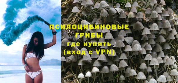 PSILOCYBIN Каменка