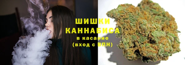 метадон Каменногорск