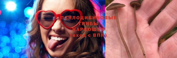 метадон Каменногорск
