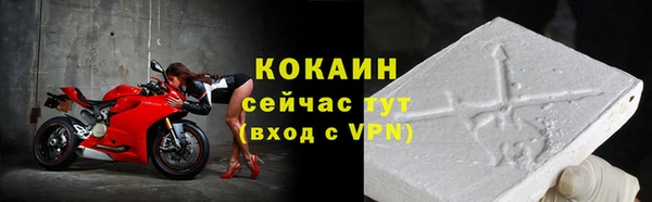 PSILOCYBIN Каменка