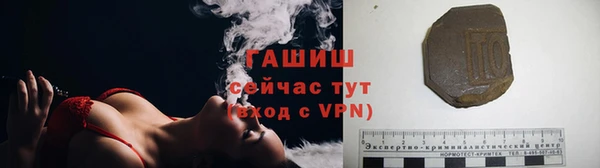 PSILOCYBIN Каменка