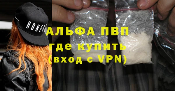 PSILOCYBIN Каменка