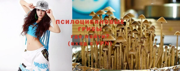 PSILOCYBIN Каменка
