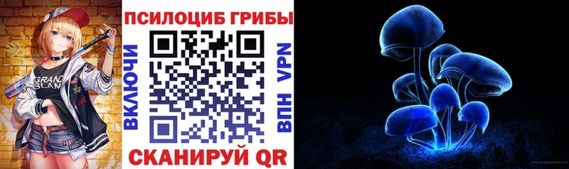 Псилоцибиновые грибы MAGIC MUSHROOMS Купить где Алагир
